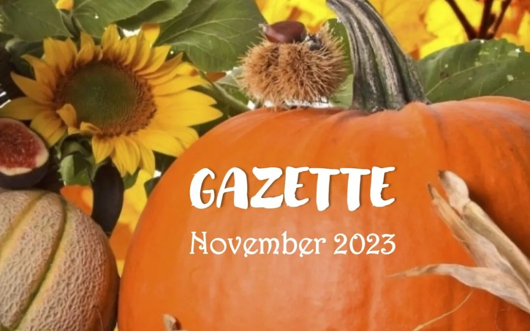 November 2023 Gazette